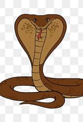 pngtree-cartoon-cobra-clip-art-png-image_2906975