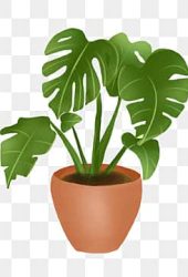 pngtree-cartoon-green-banana-leaf-houseplant-pot-png-image_3059949